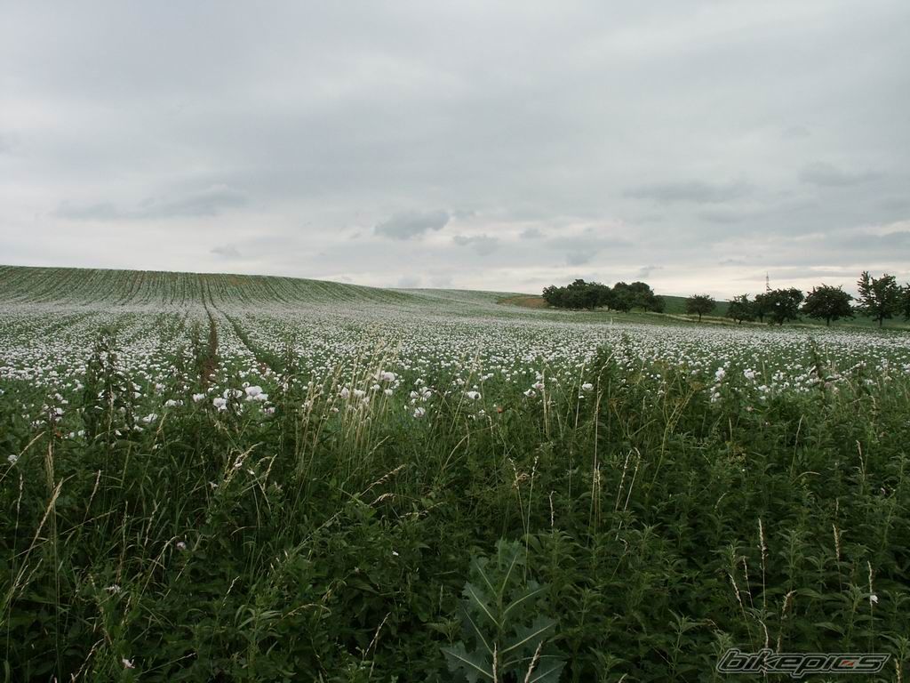 Photo 690816