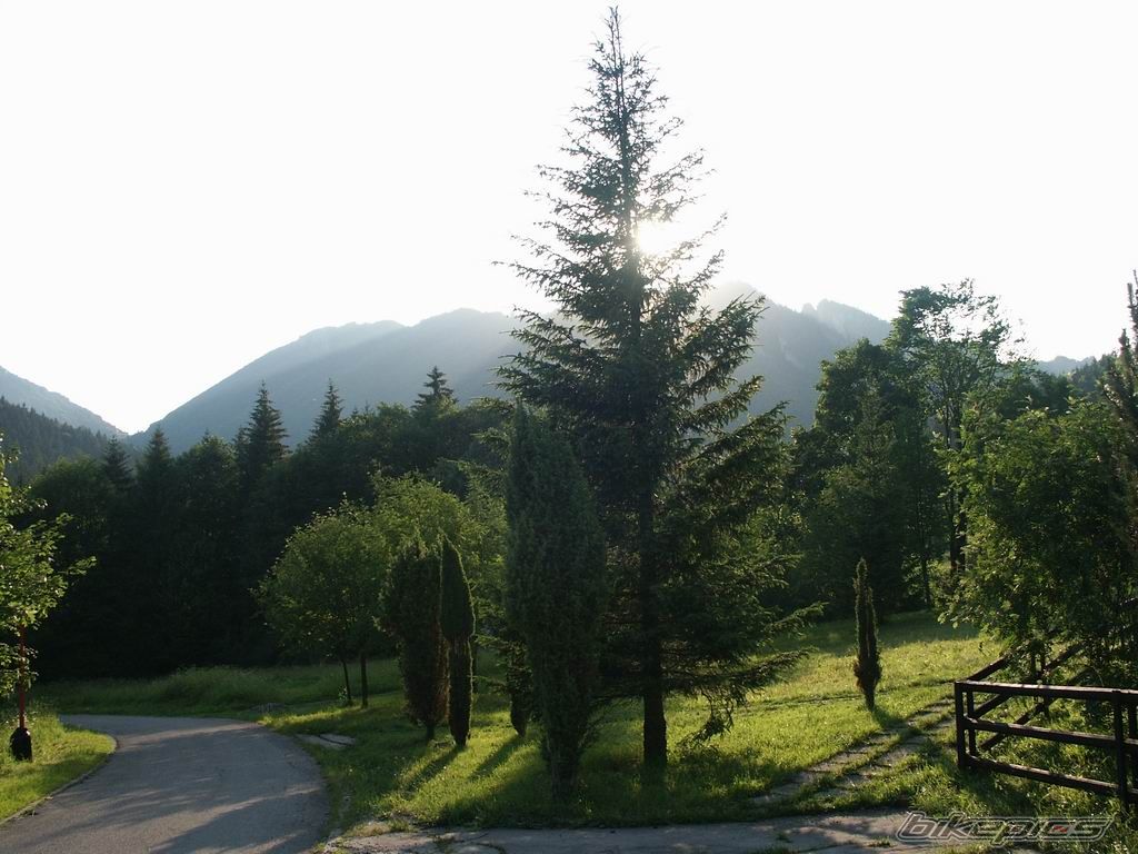 Photo 690824