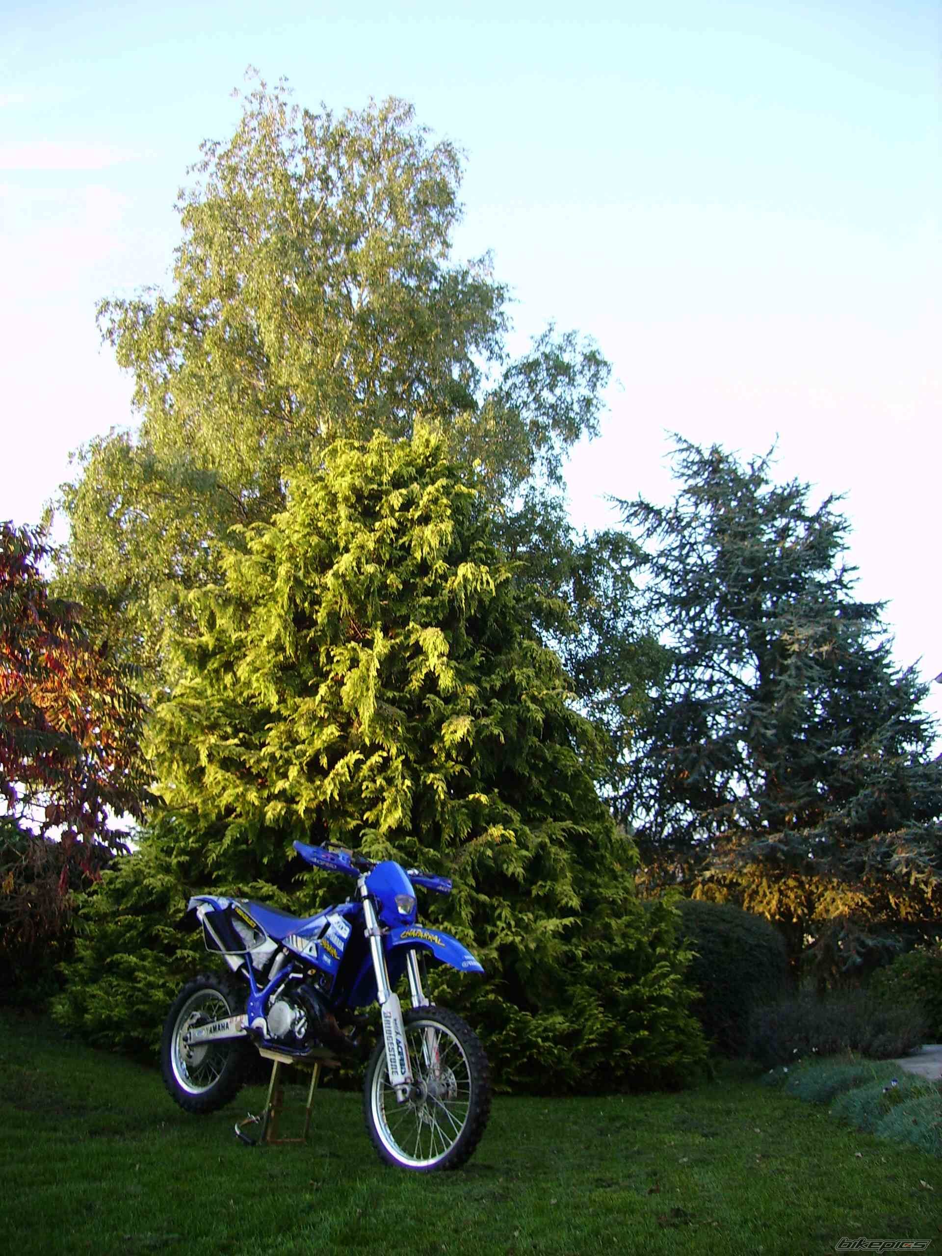 Bike Photo 690903