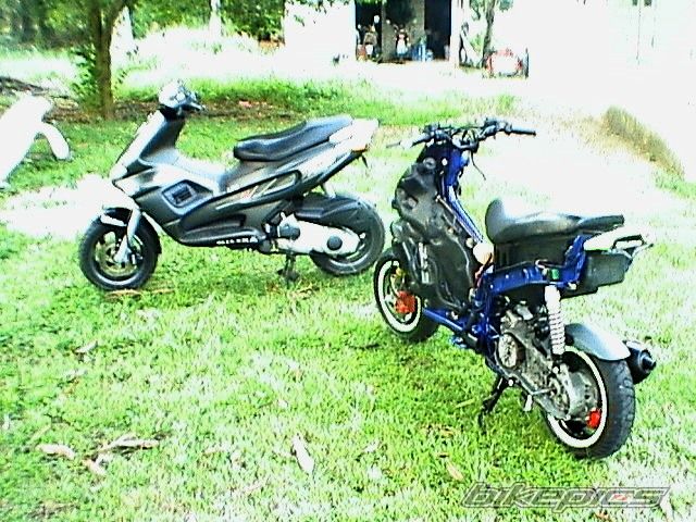 Photo 691042