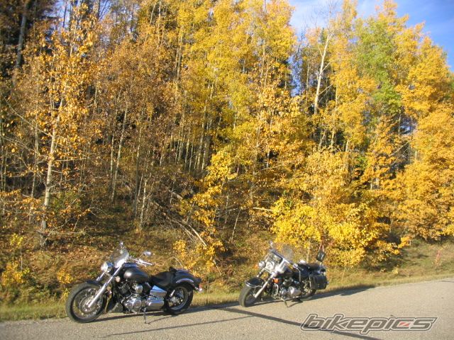 Bike Photo 691385