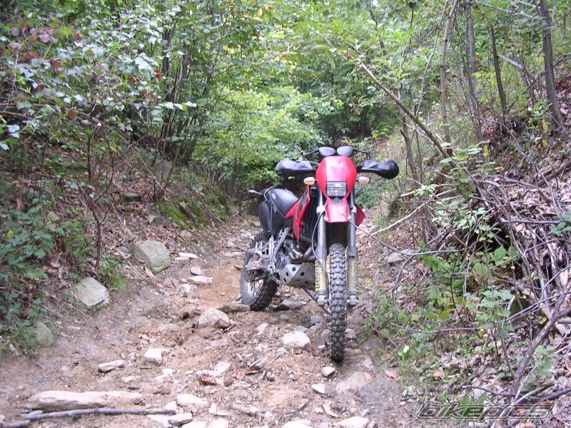 Bike Photo 691524