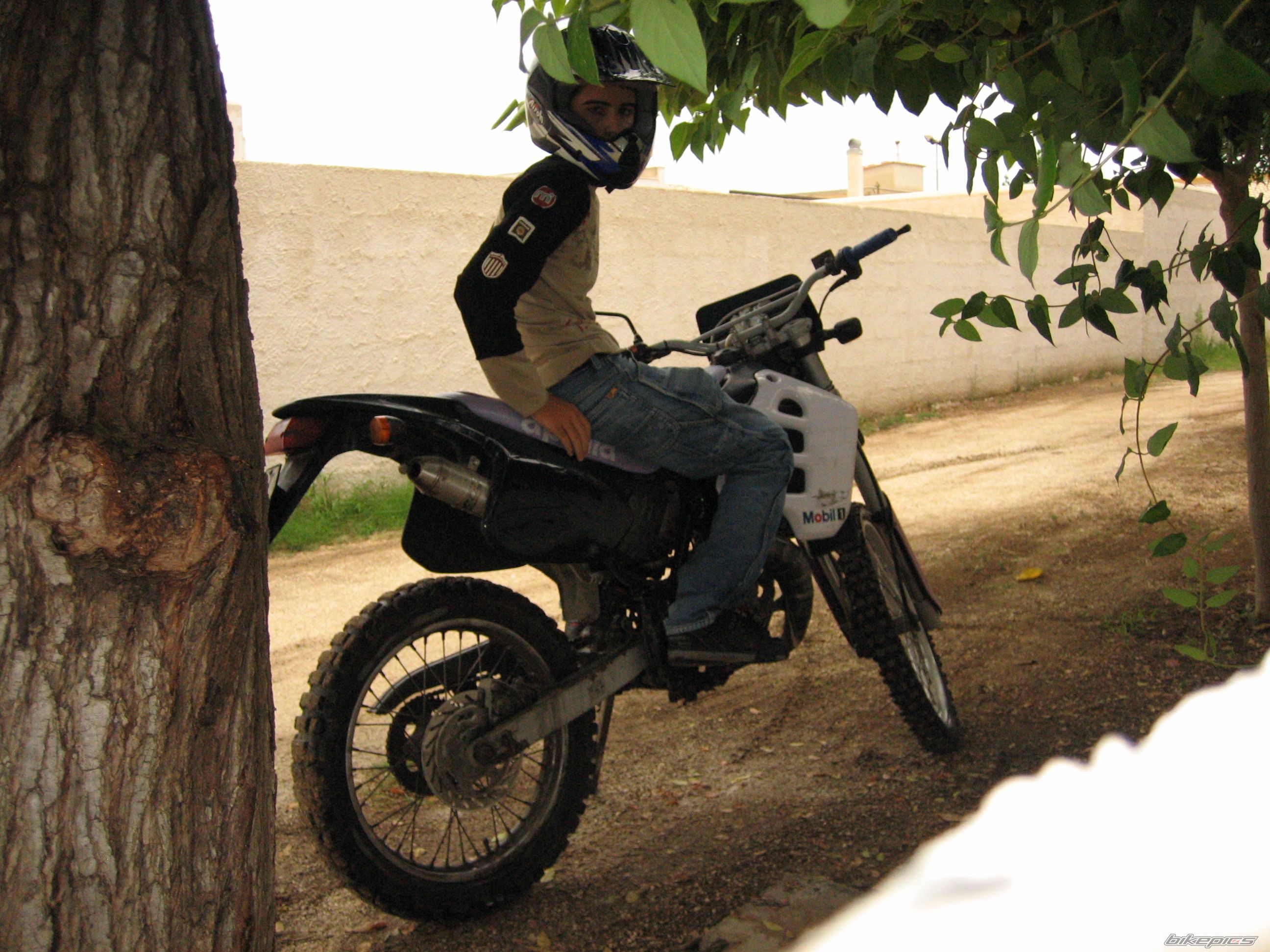 Photo 691579