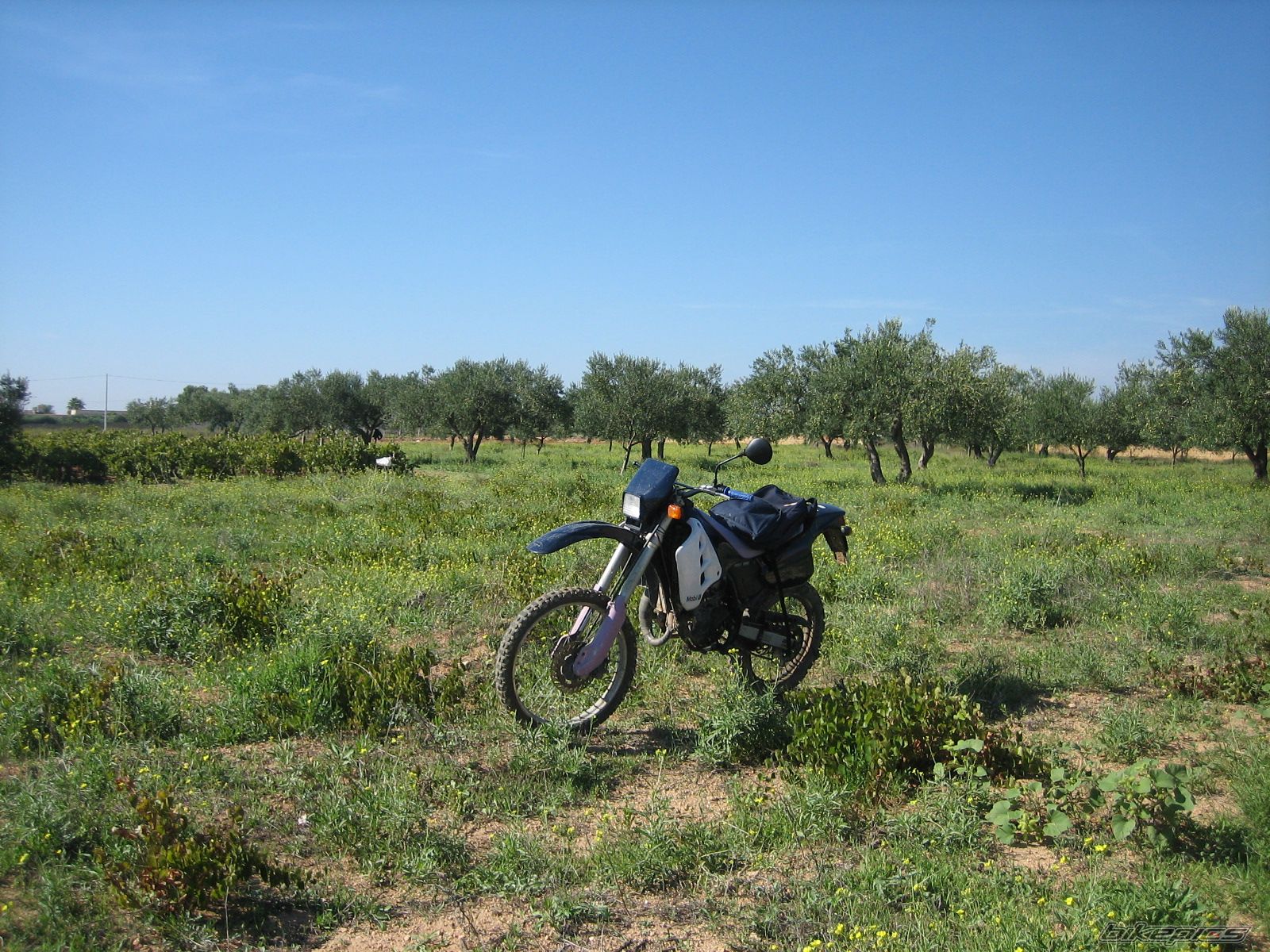 Bike Photo 691769