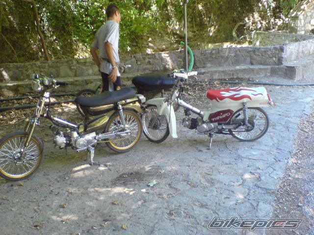 Photo 691794