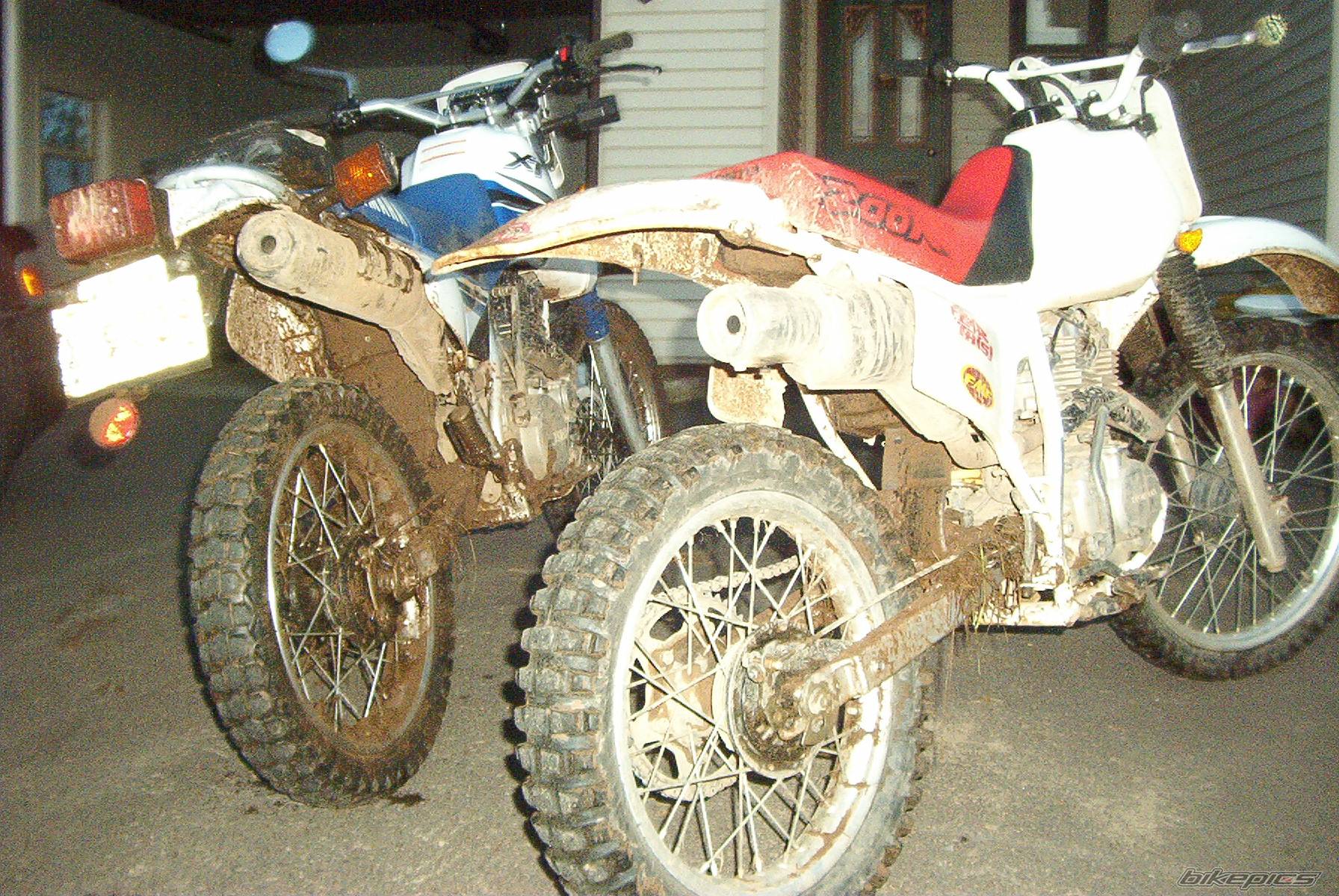 Bike Photo 69206