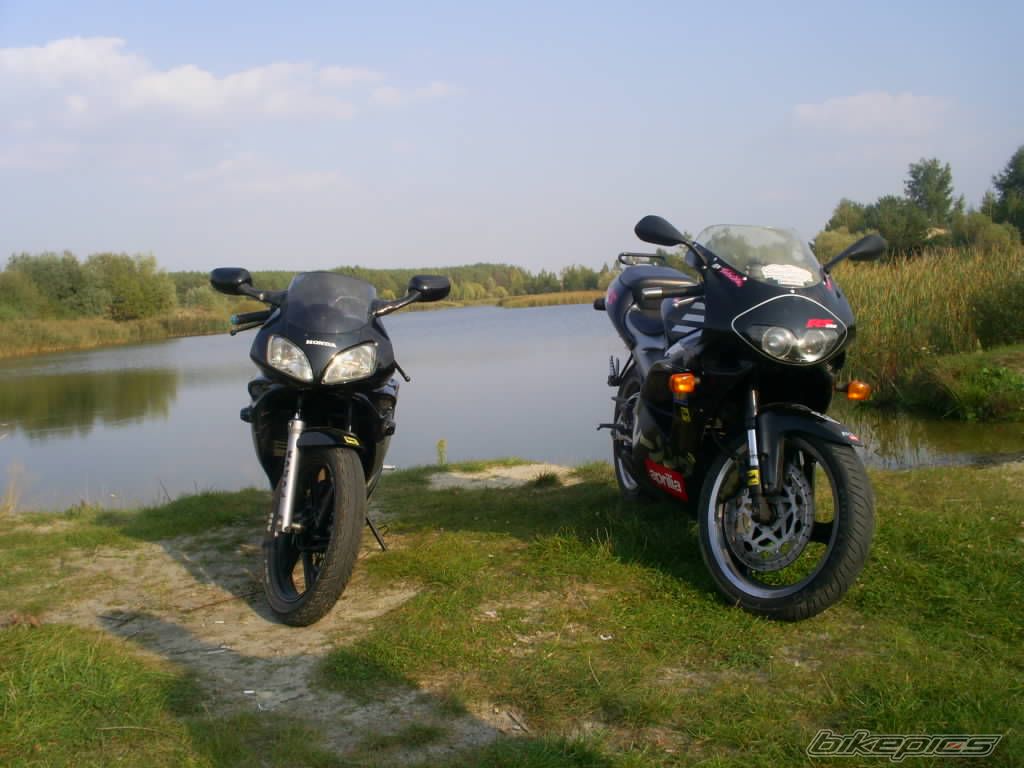 Photo 692515
