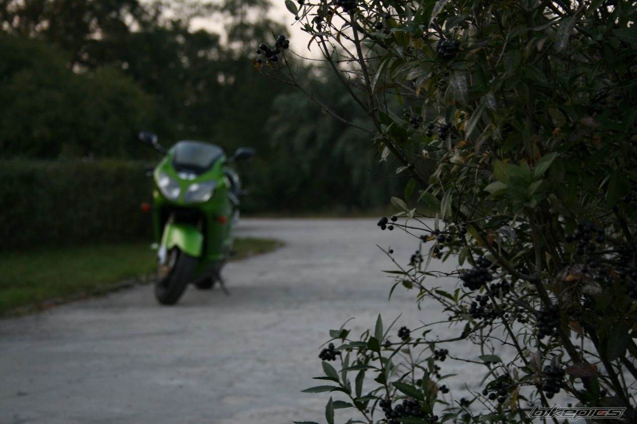 Bike Photo 692927