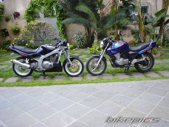 Photo 69333