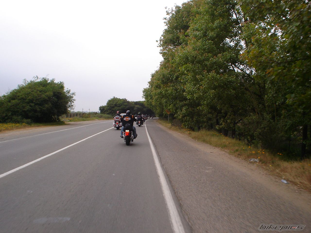 Photo 693378
