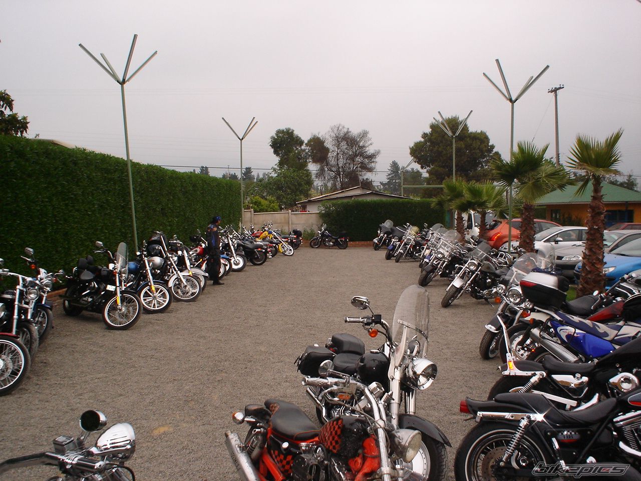 Photo 693387