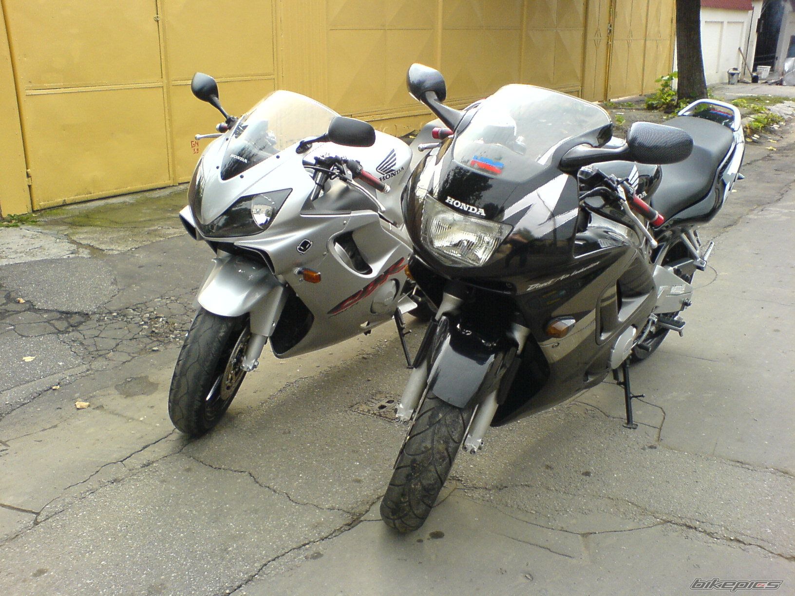 Photo 693505