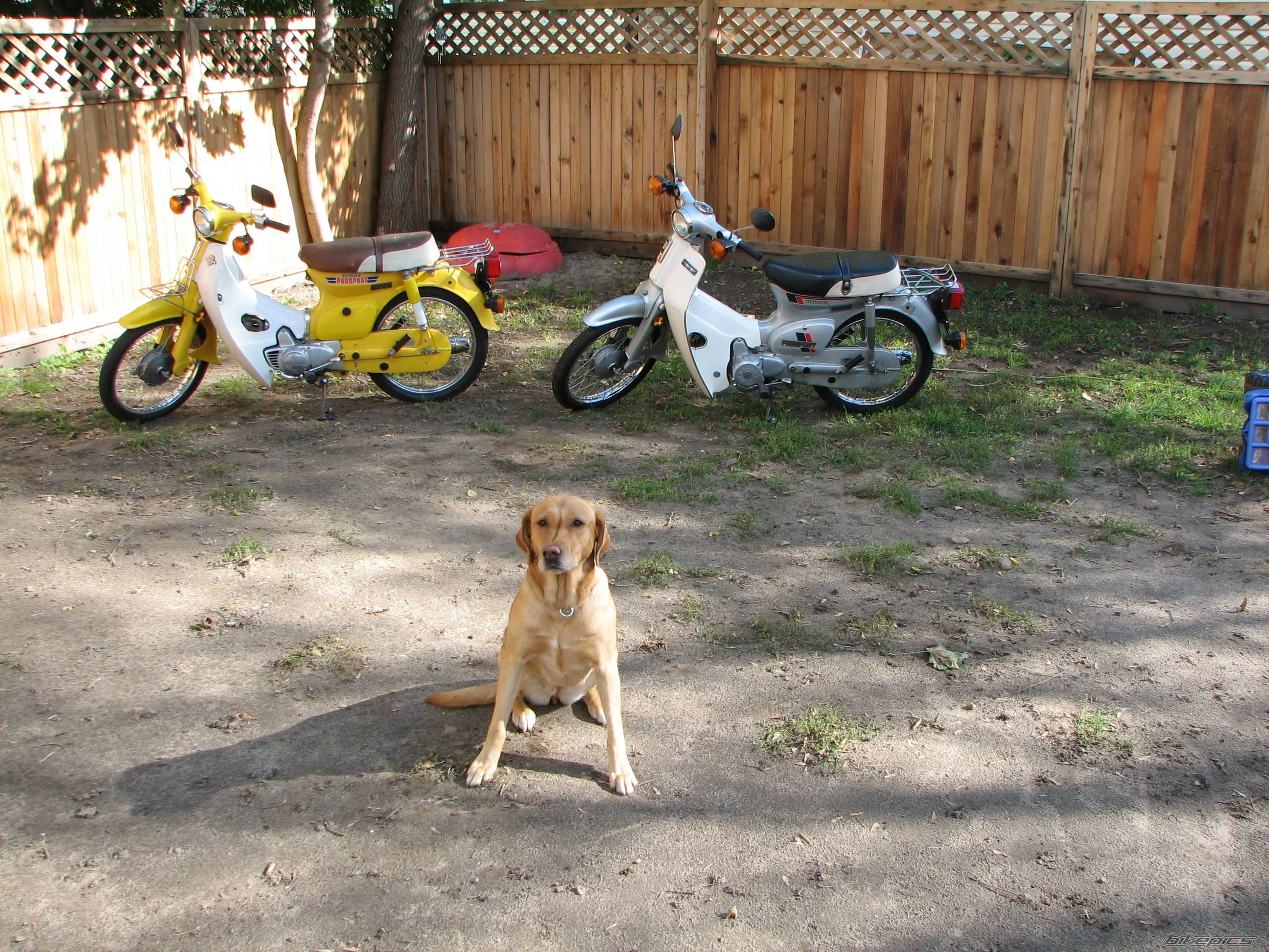 Photo 693774