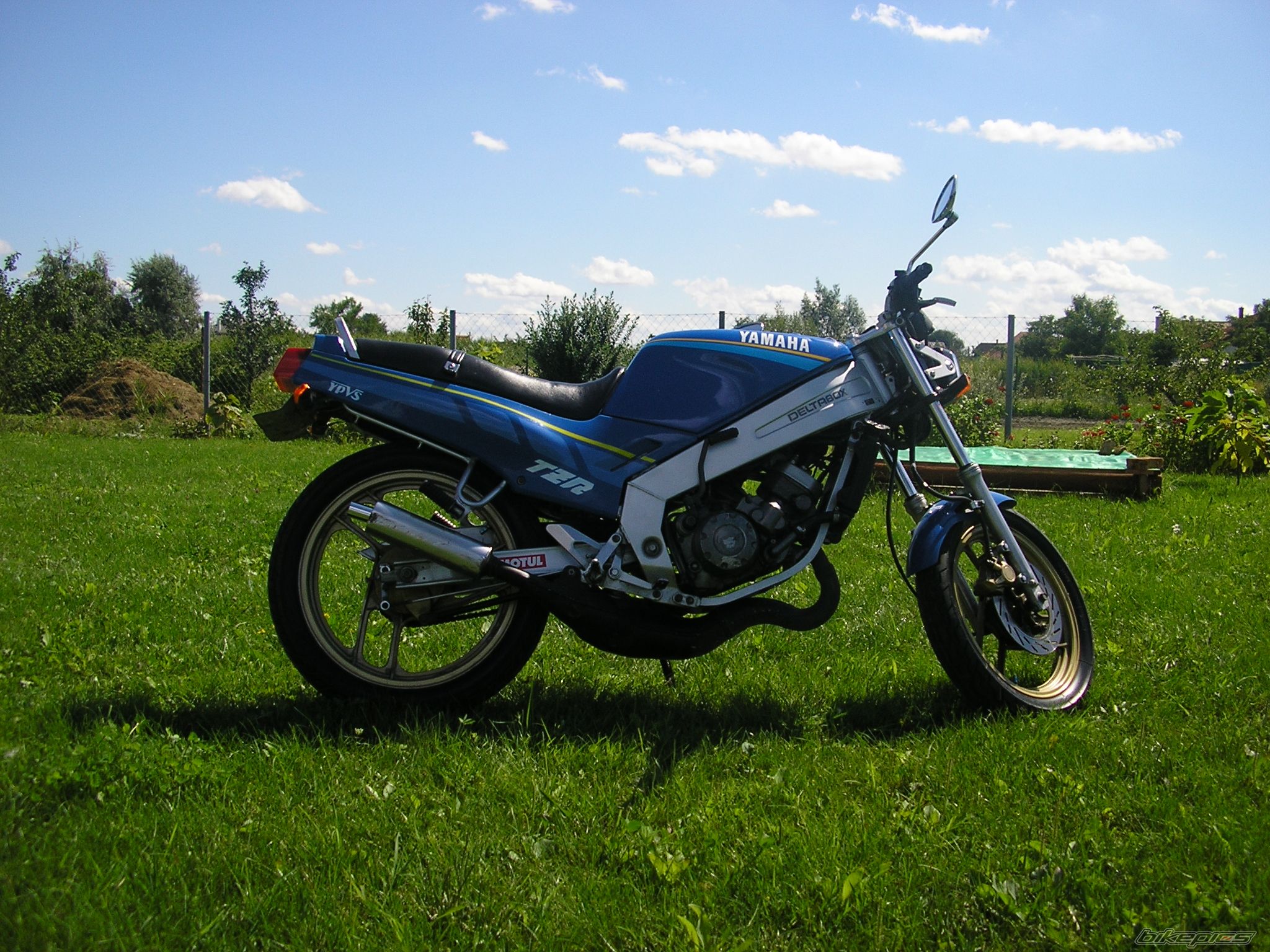 Photo 693839