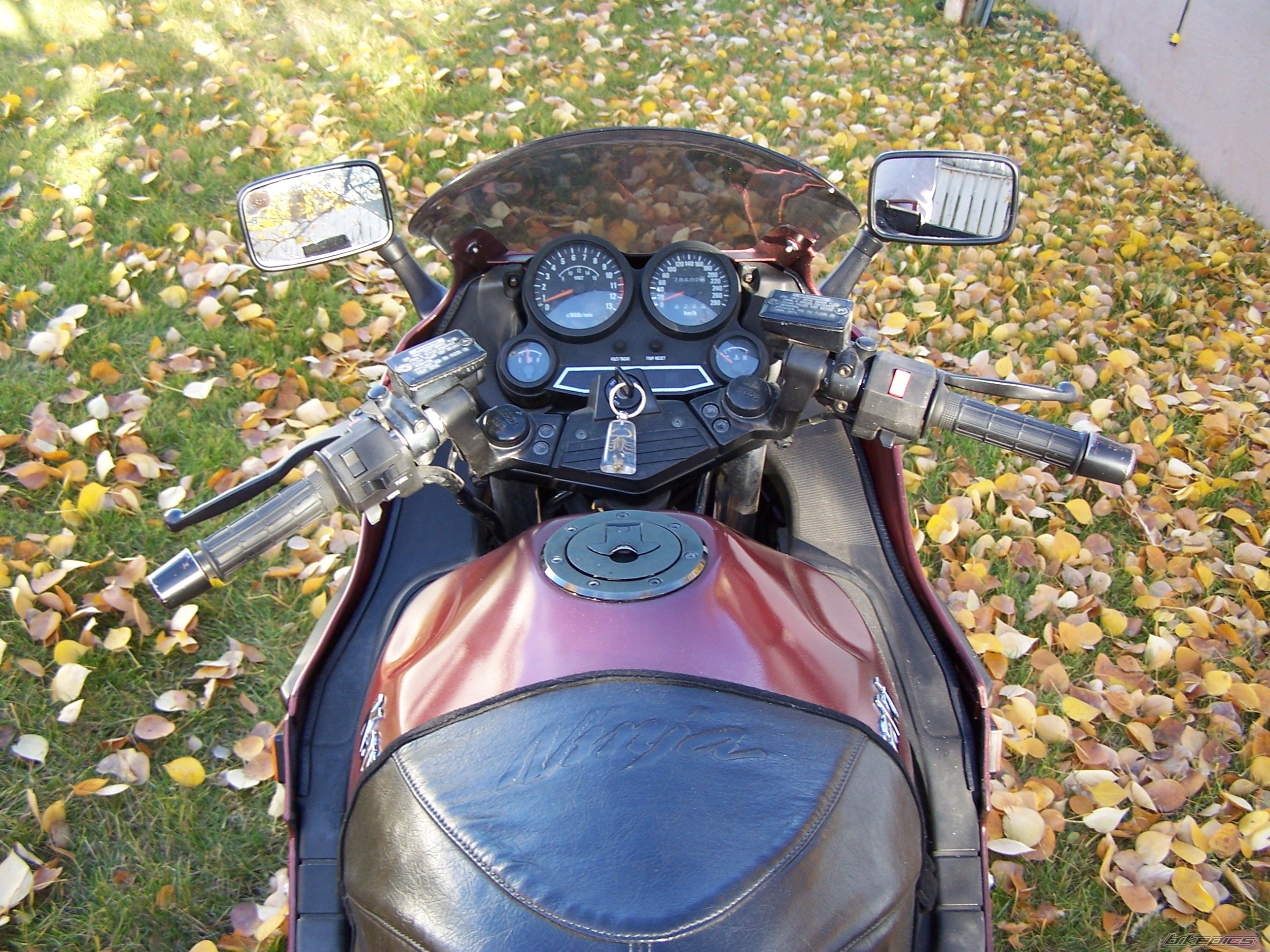 Photo 693938