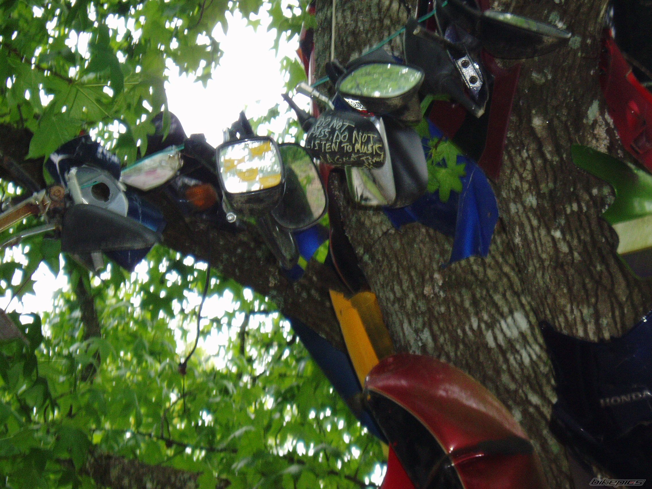 Photo 694045