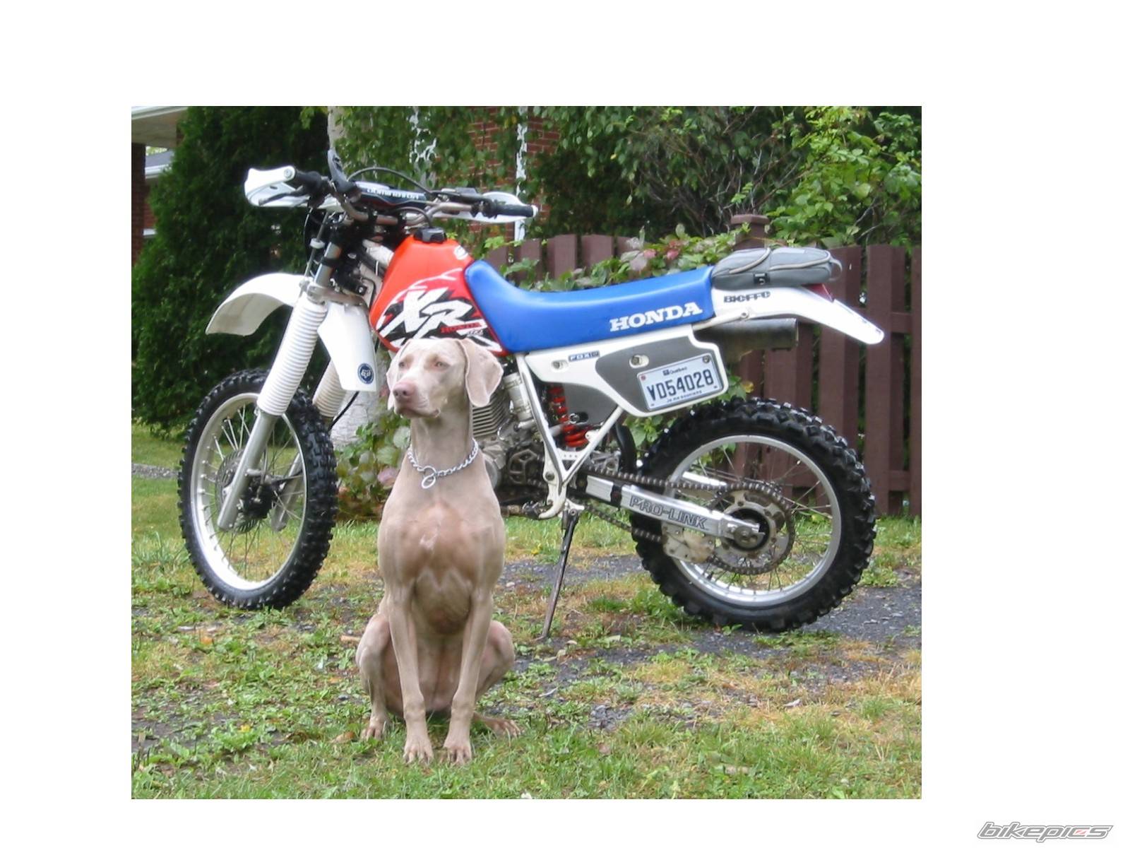 Bike Photo 69414