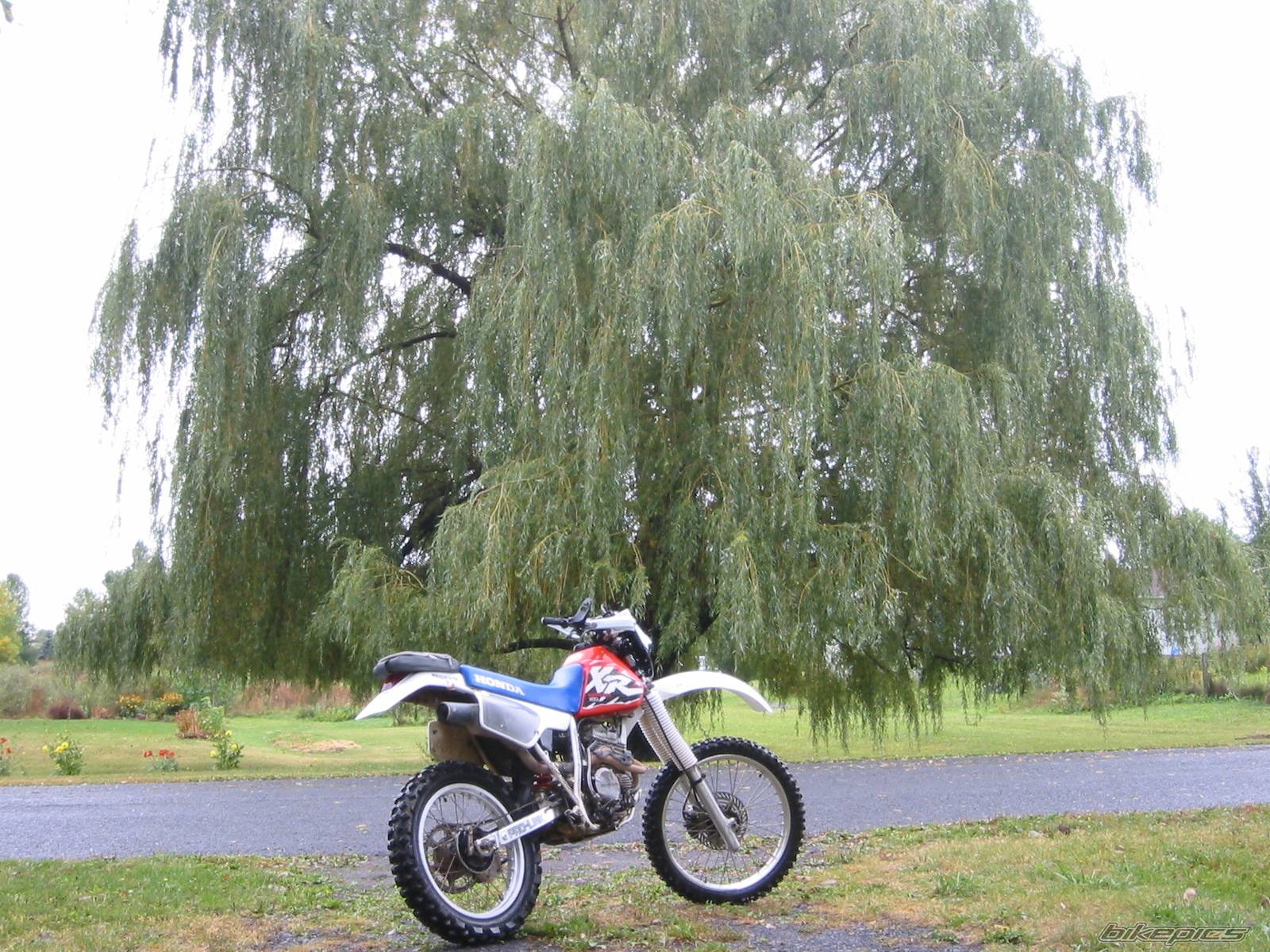 Bike Photo 69416