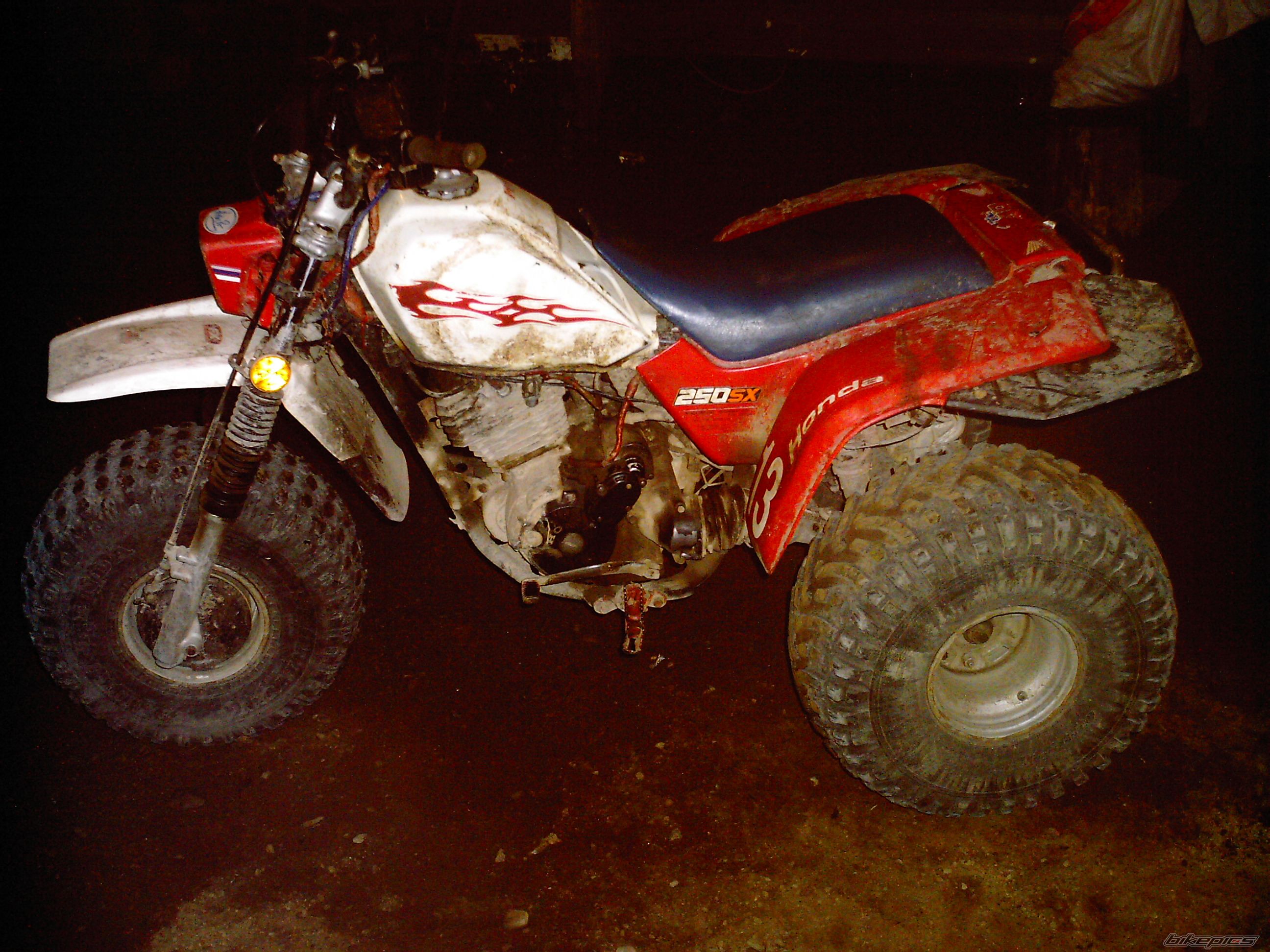 Bike Photo 694595