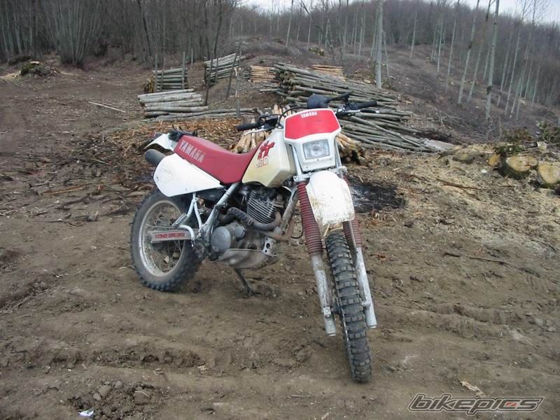 Bike Photo 694927