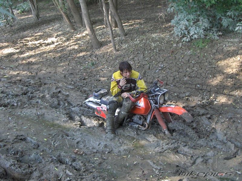 Bike Photo 695008