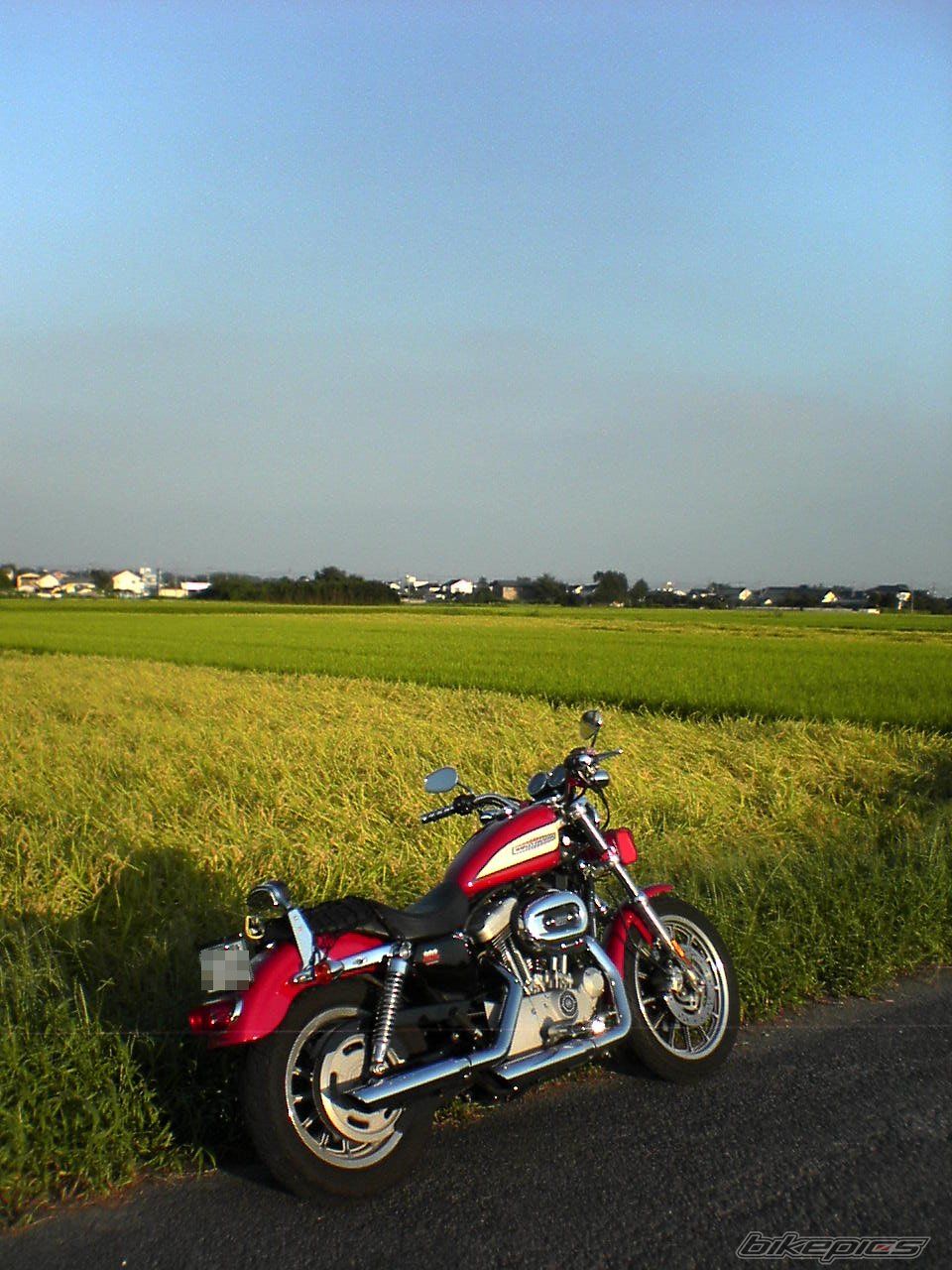 Photo 695025