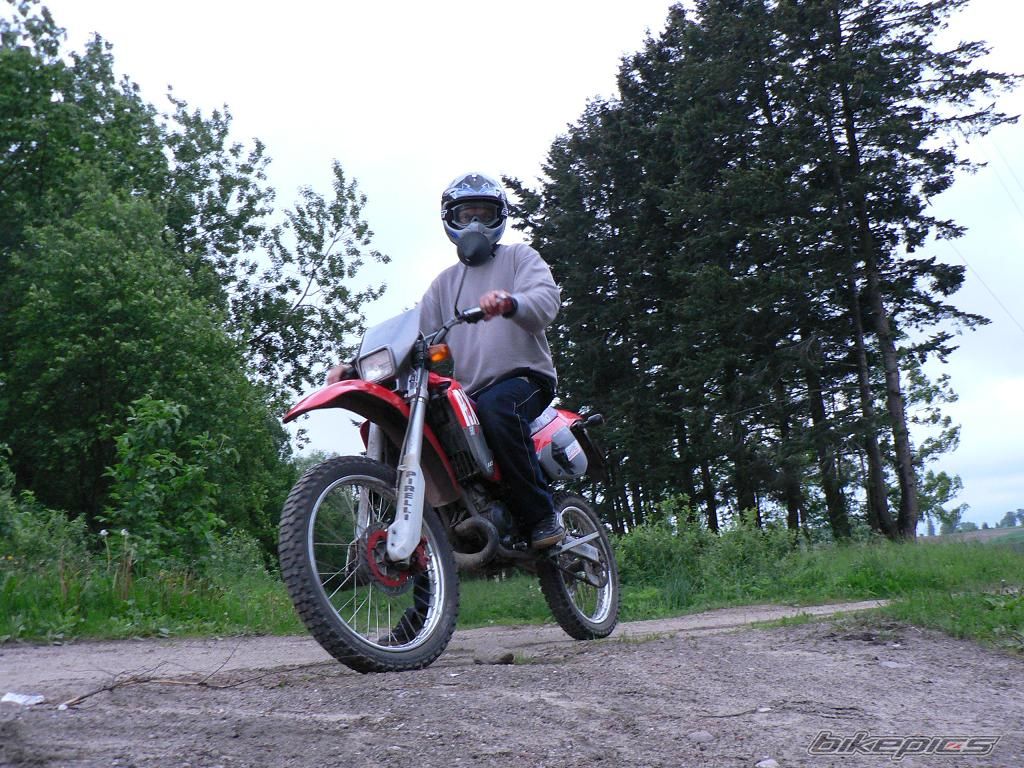 Photo 695115