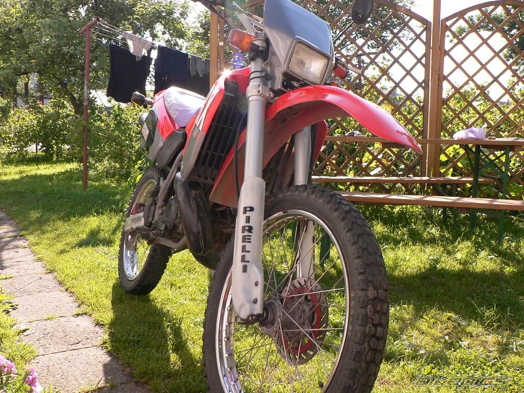 Bike Photo 695125