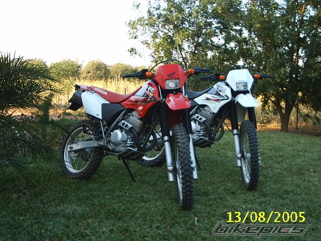 Bike Photo 696076