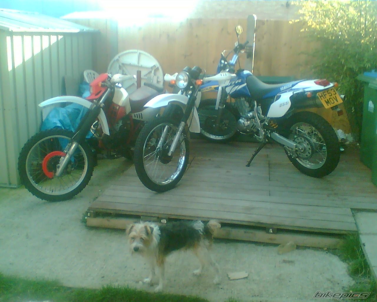 Photo 696142