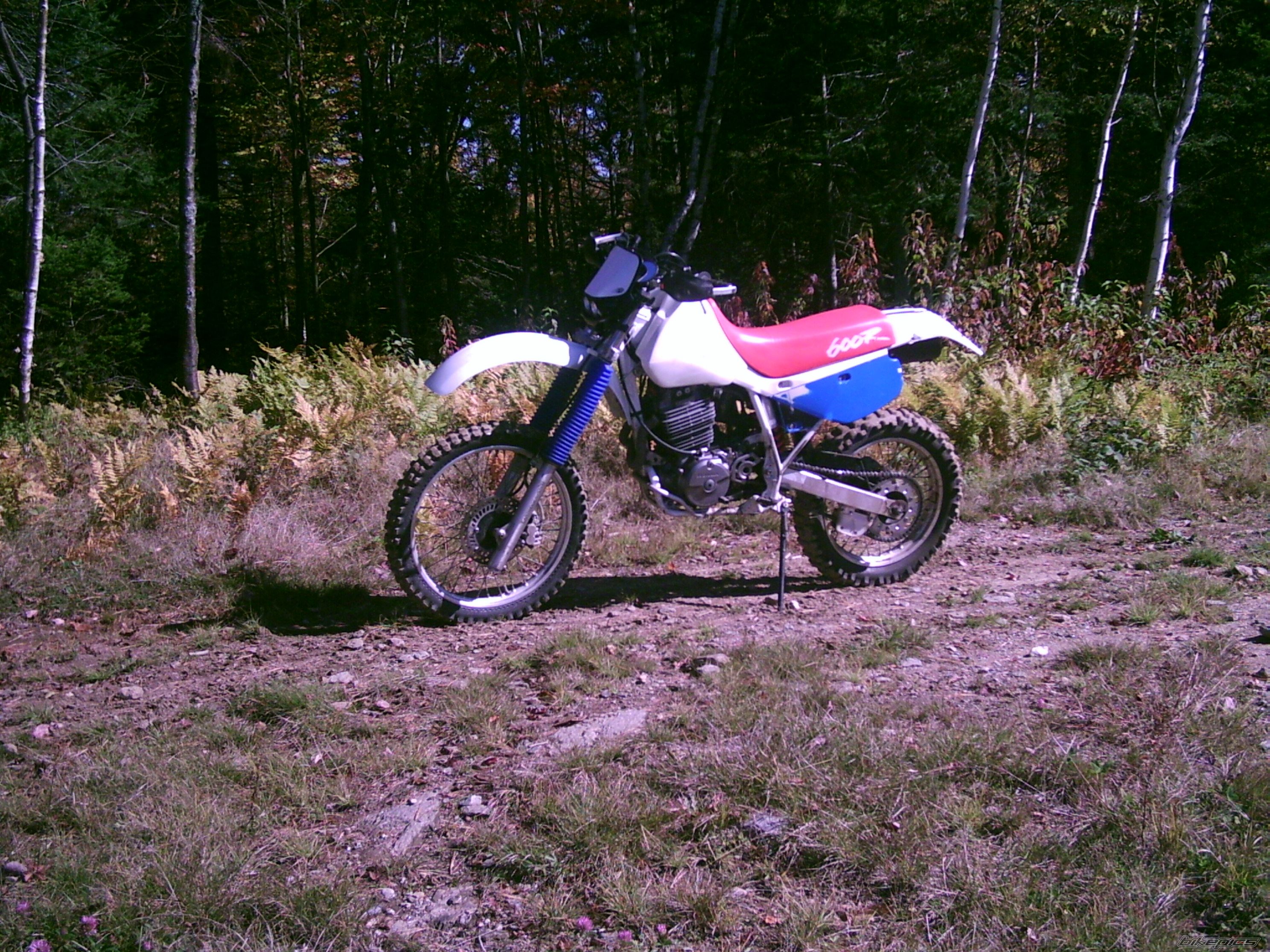 Bike Photo 696227