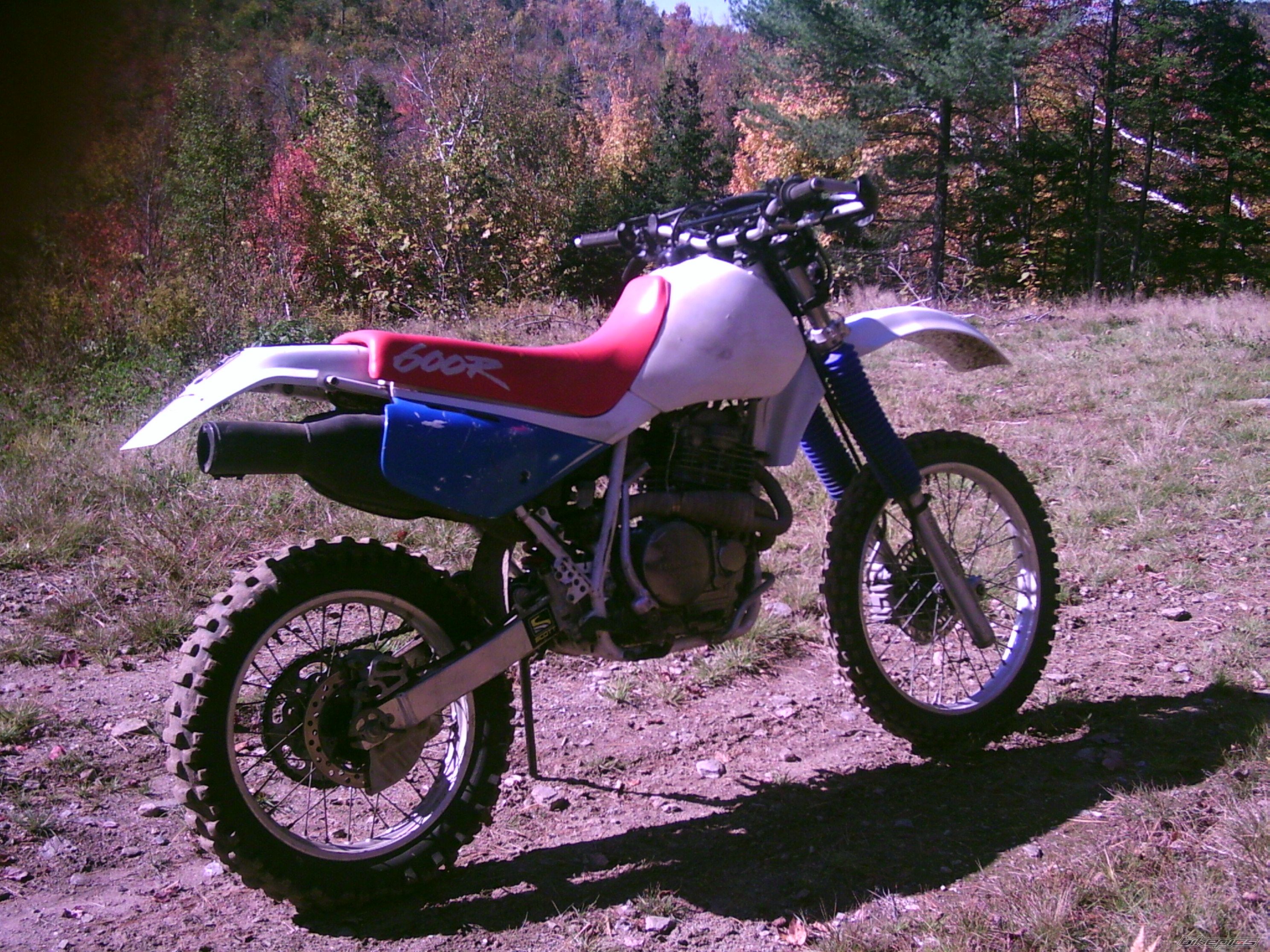 Bike Photo 696228