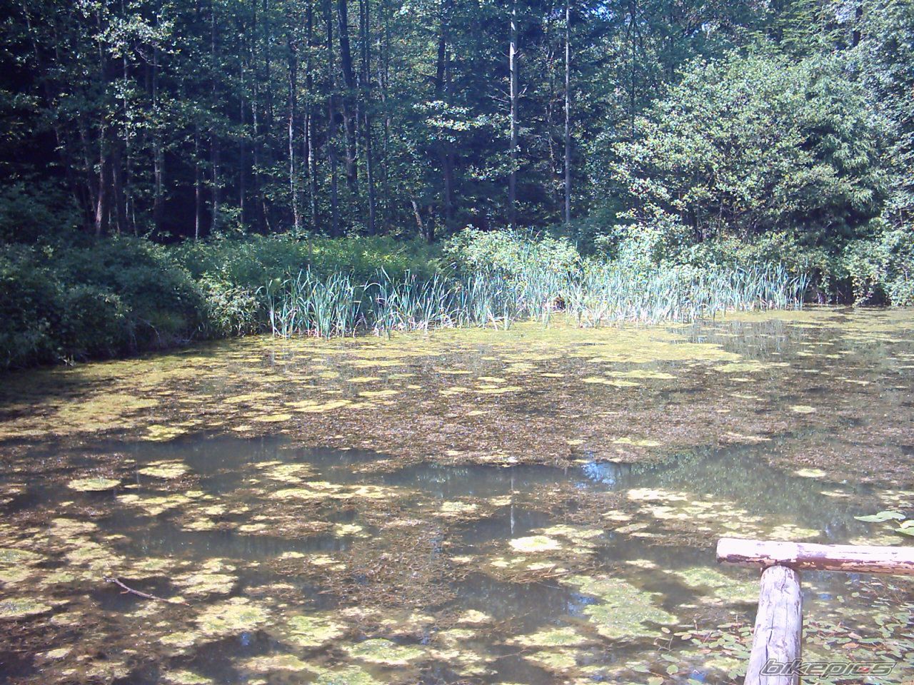 Photo 696591