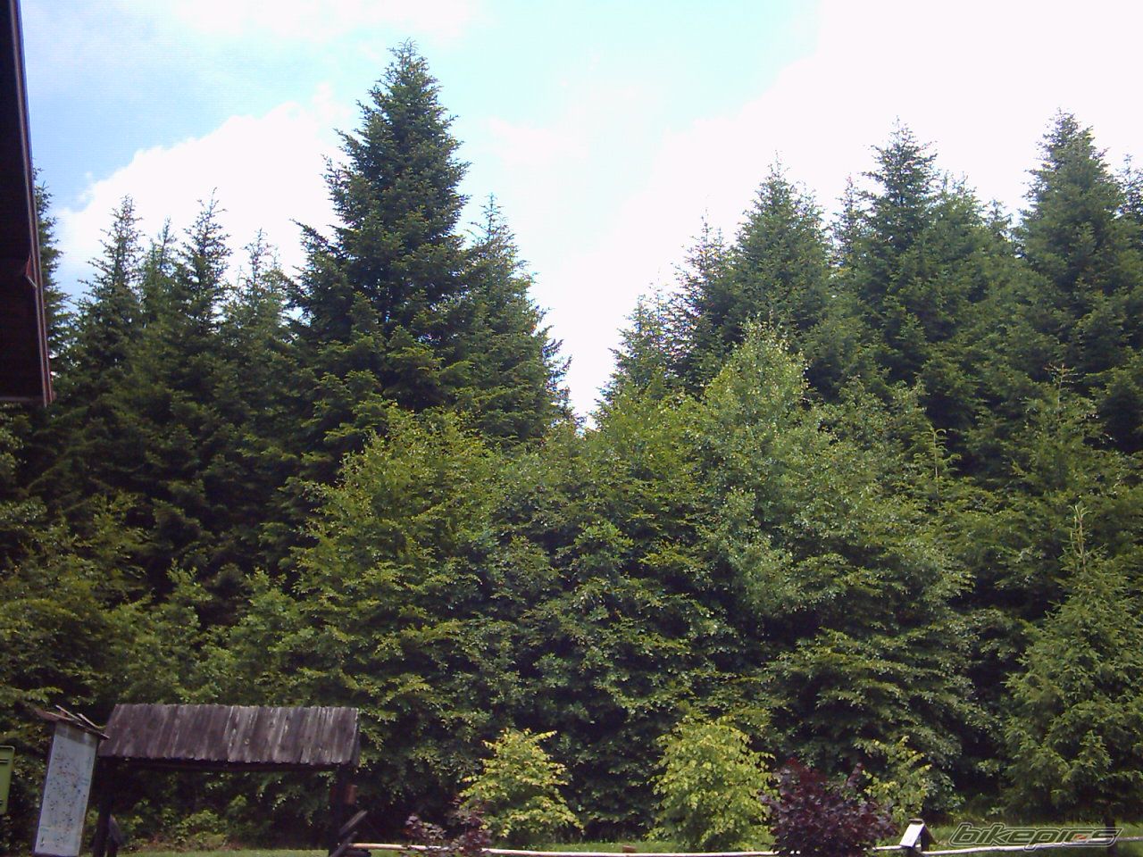 Photo 696617