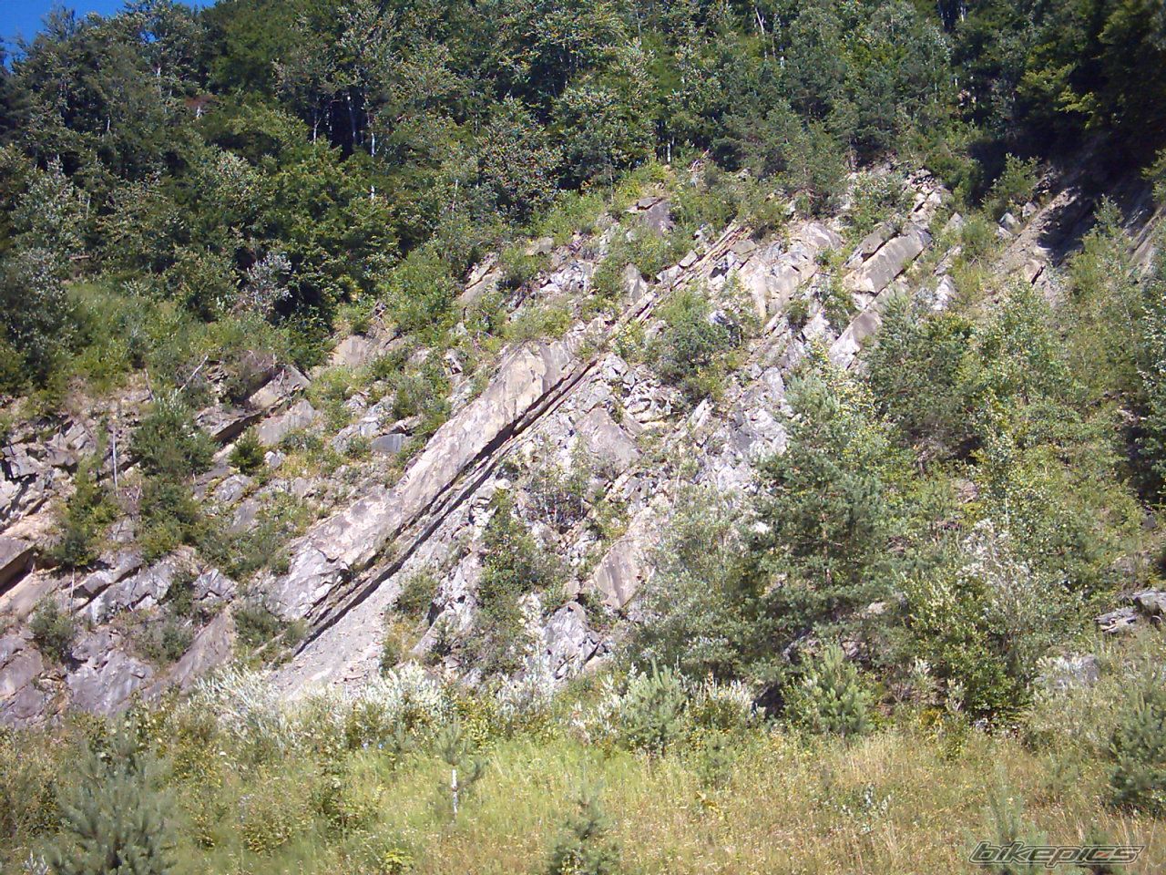 Photo 696685