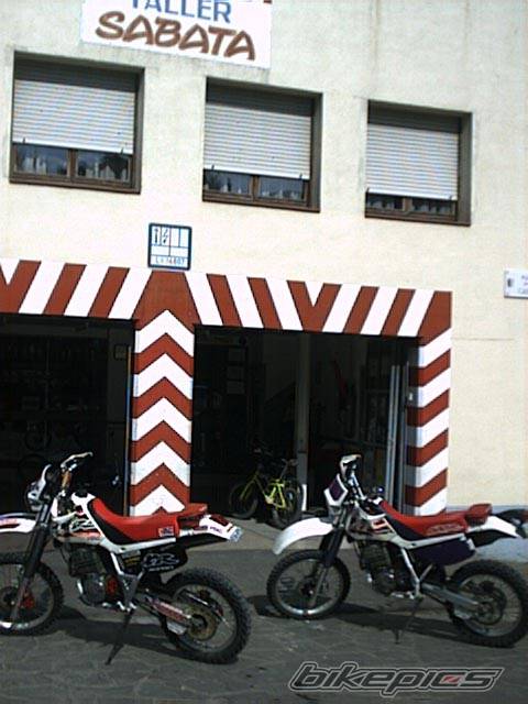 Photo 6967