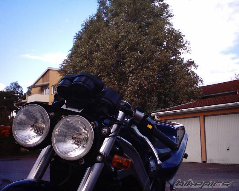 Photo 69736