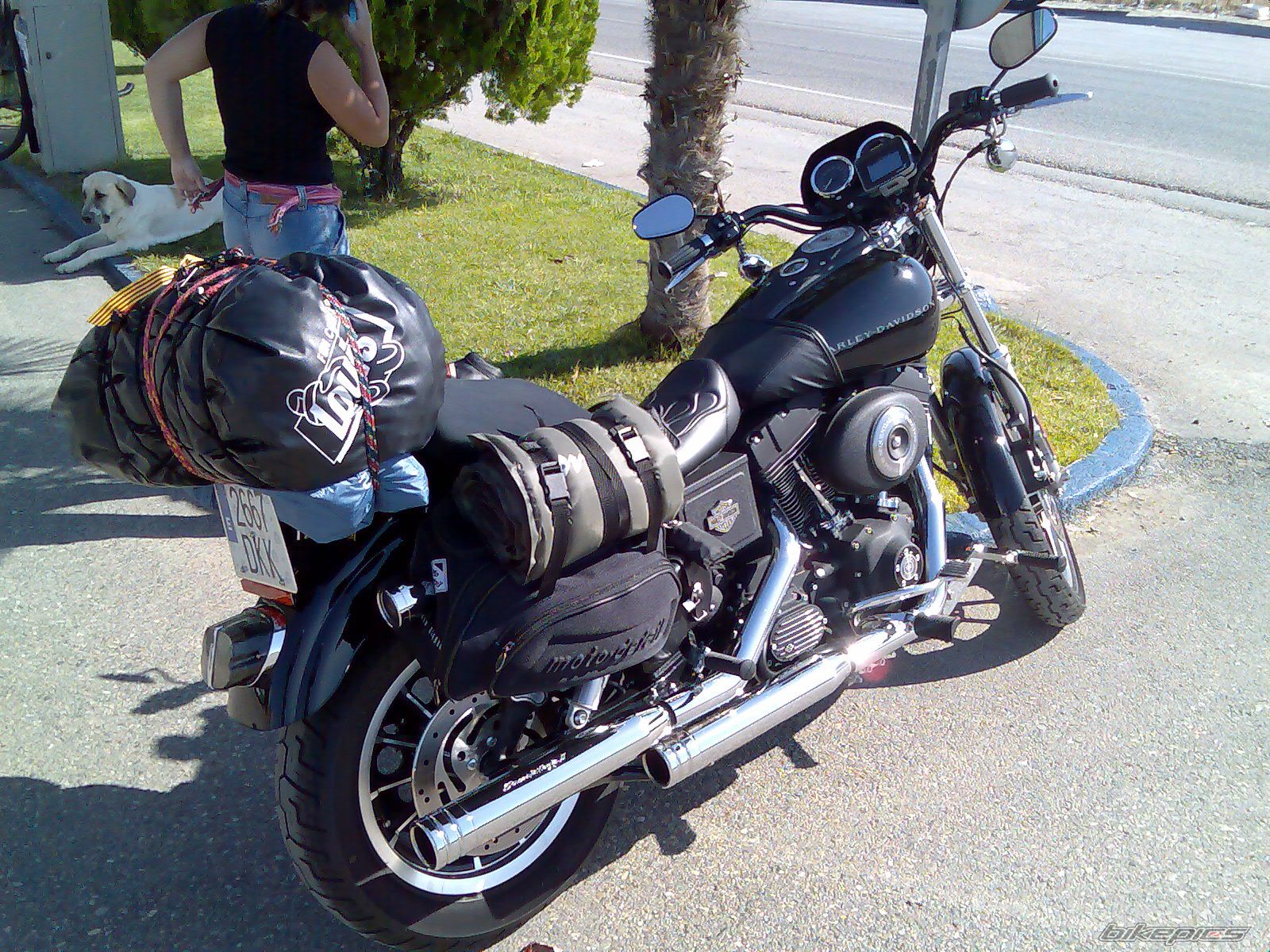 Photo 697371