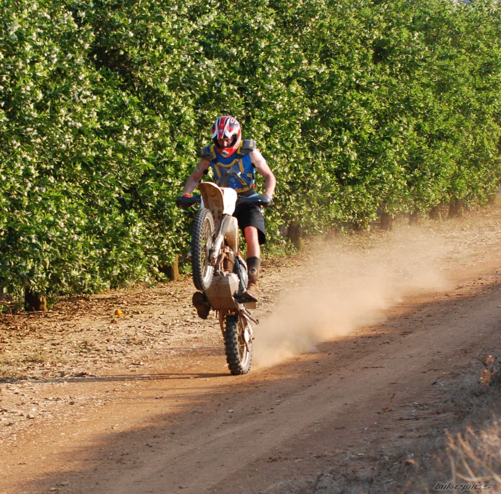 Photo 697768