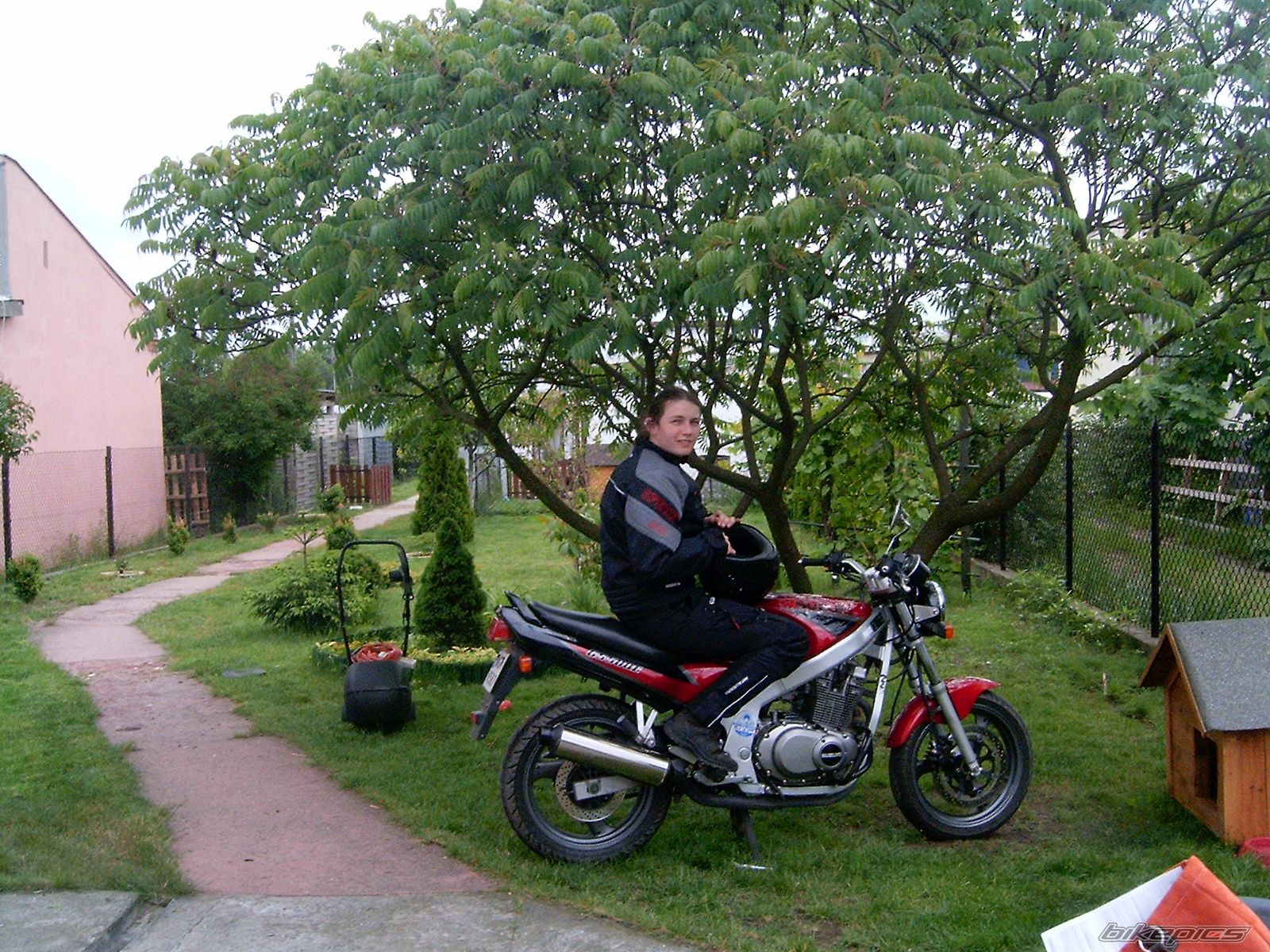 Photo 697977