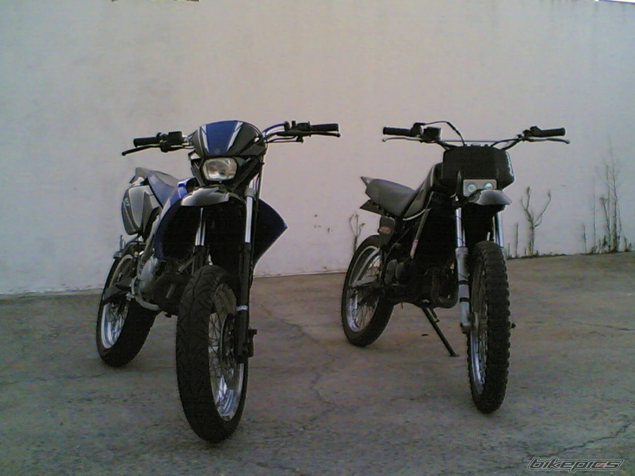 Photo 699267