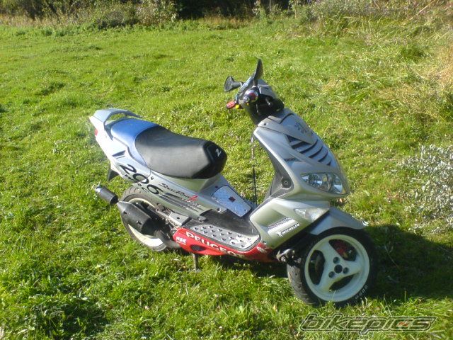Photo 699468