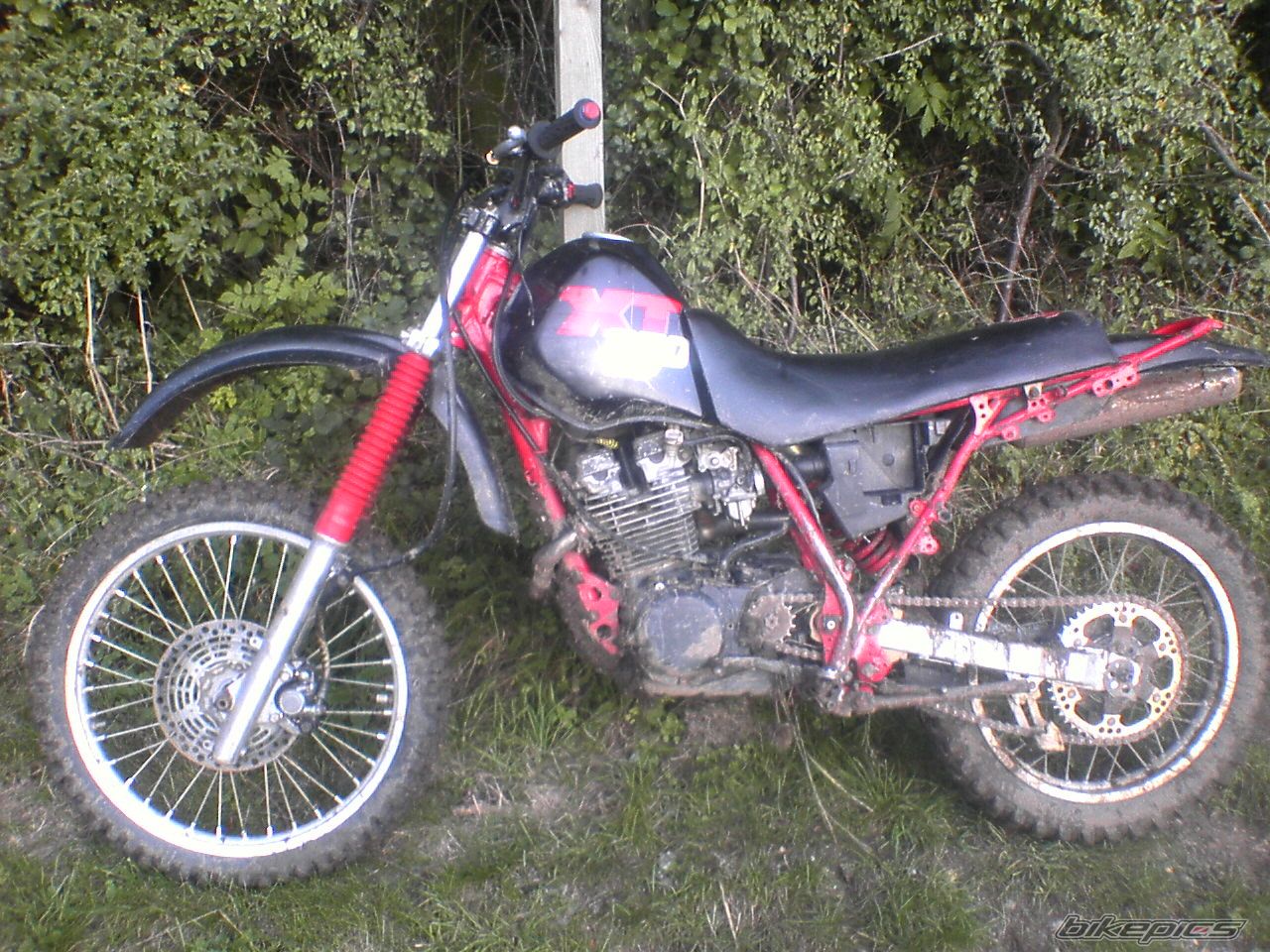Photo 699491