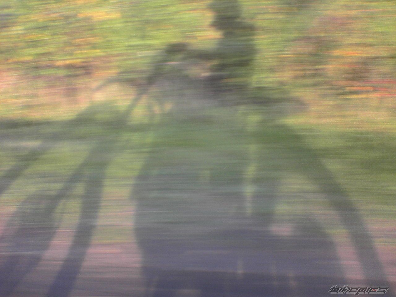 Bike Photo 699492