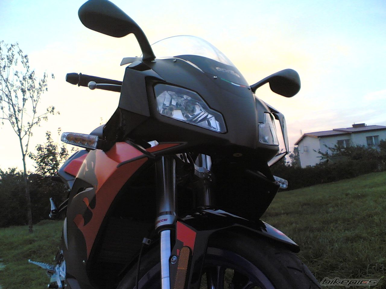Photo 699774