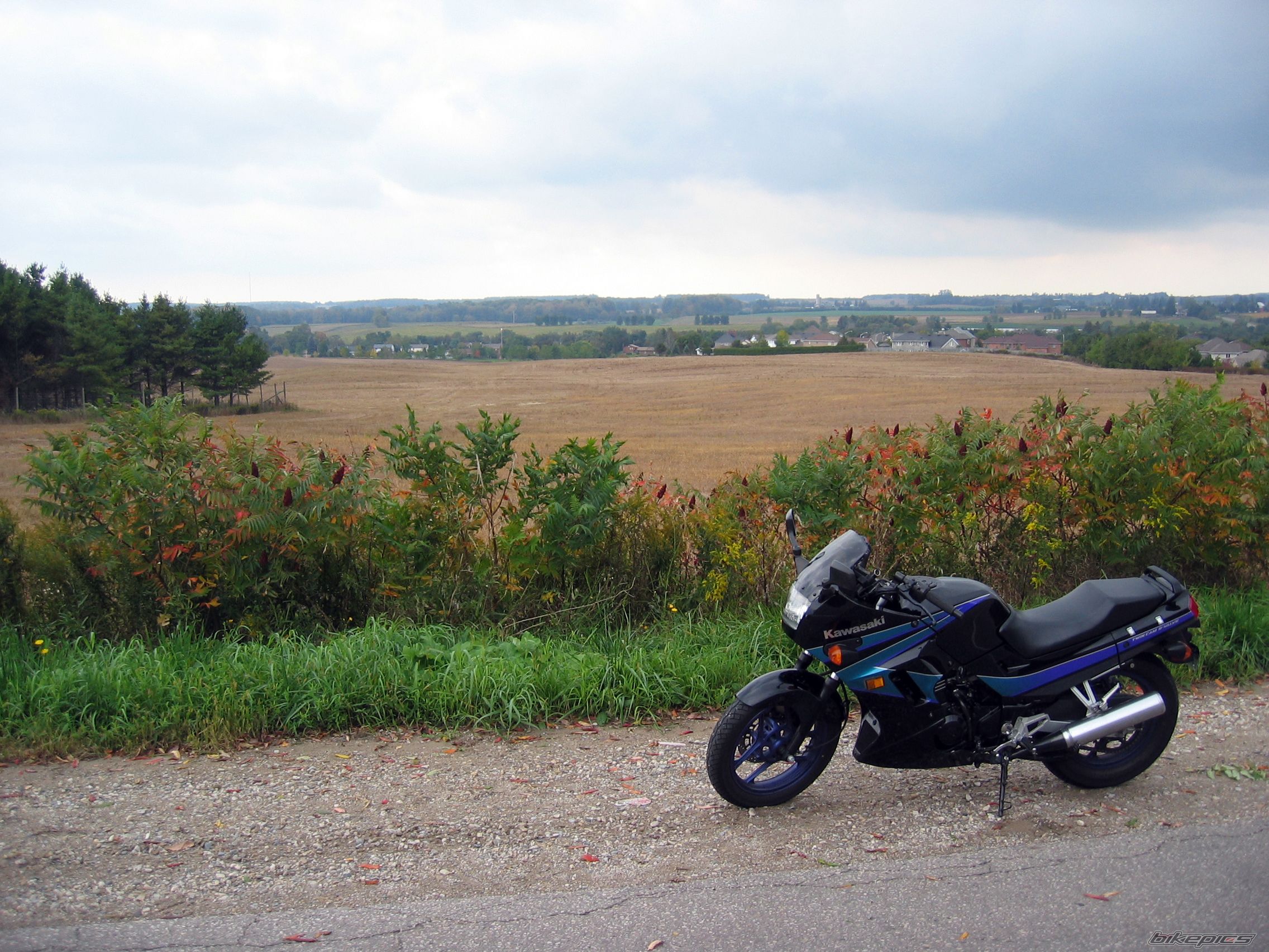 Photo 699784
