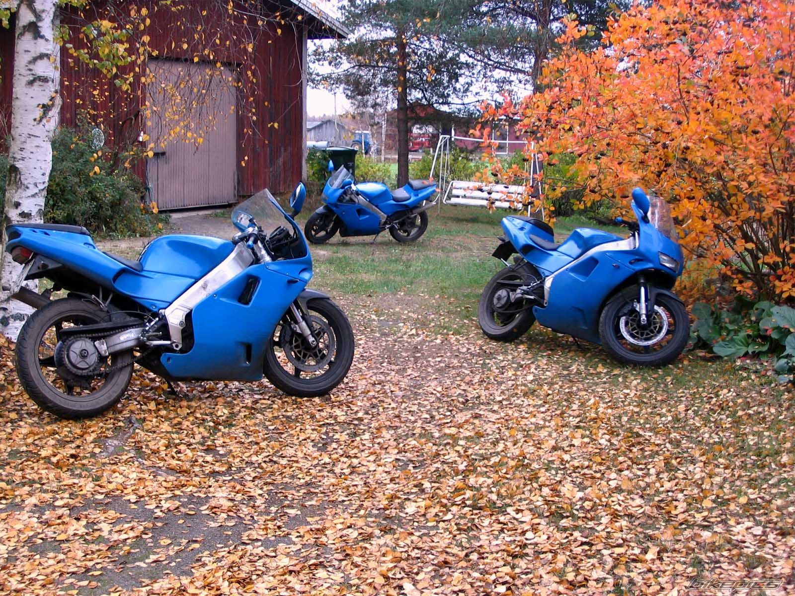 Bike Photo 700058