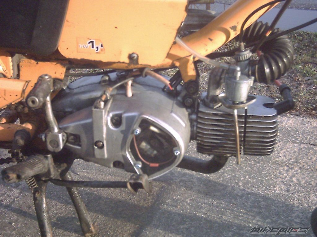 Photo 700249