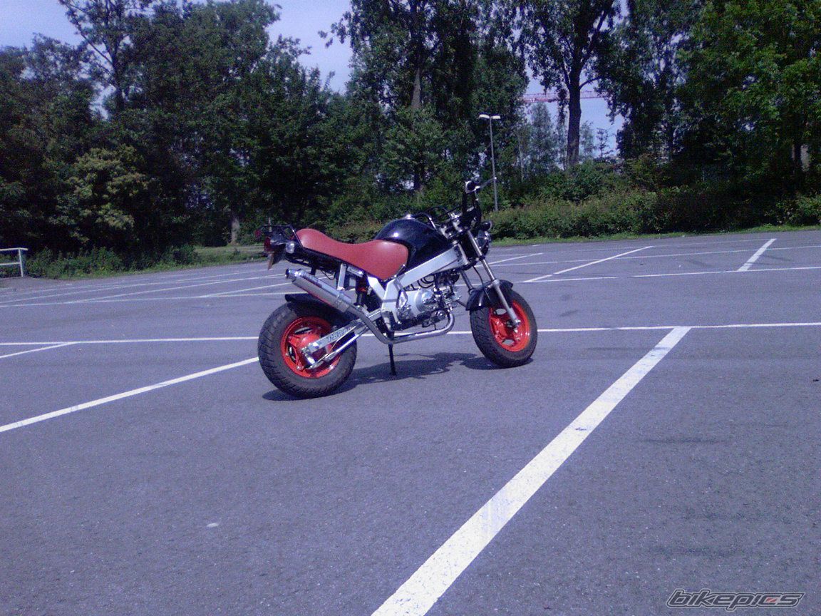 Photo 700259