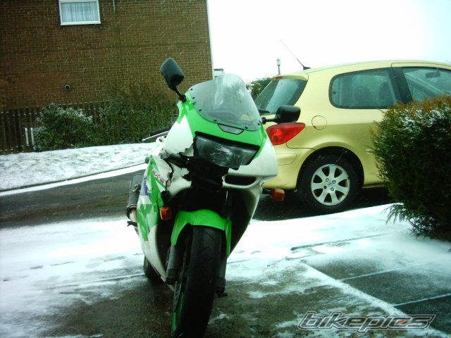 Photo 700387
